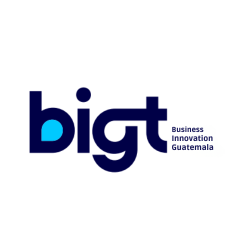 comercializadora BIGT